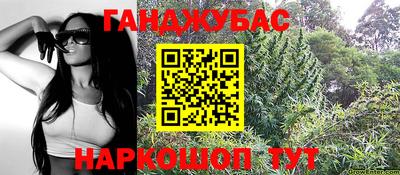 индика Краснознаменск